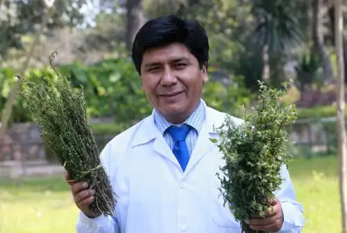 Foto: ANDINA/Norman Córdova.