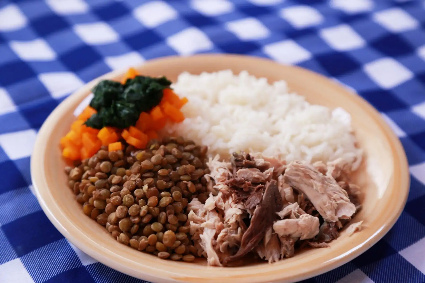 Carne oscura del bonito, potente aliado contra la anemia. Foto: ANDINA/Difusión.