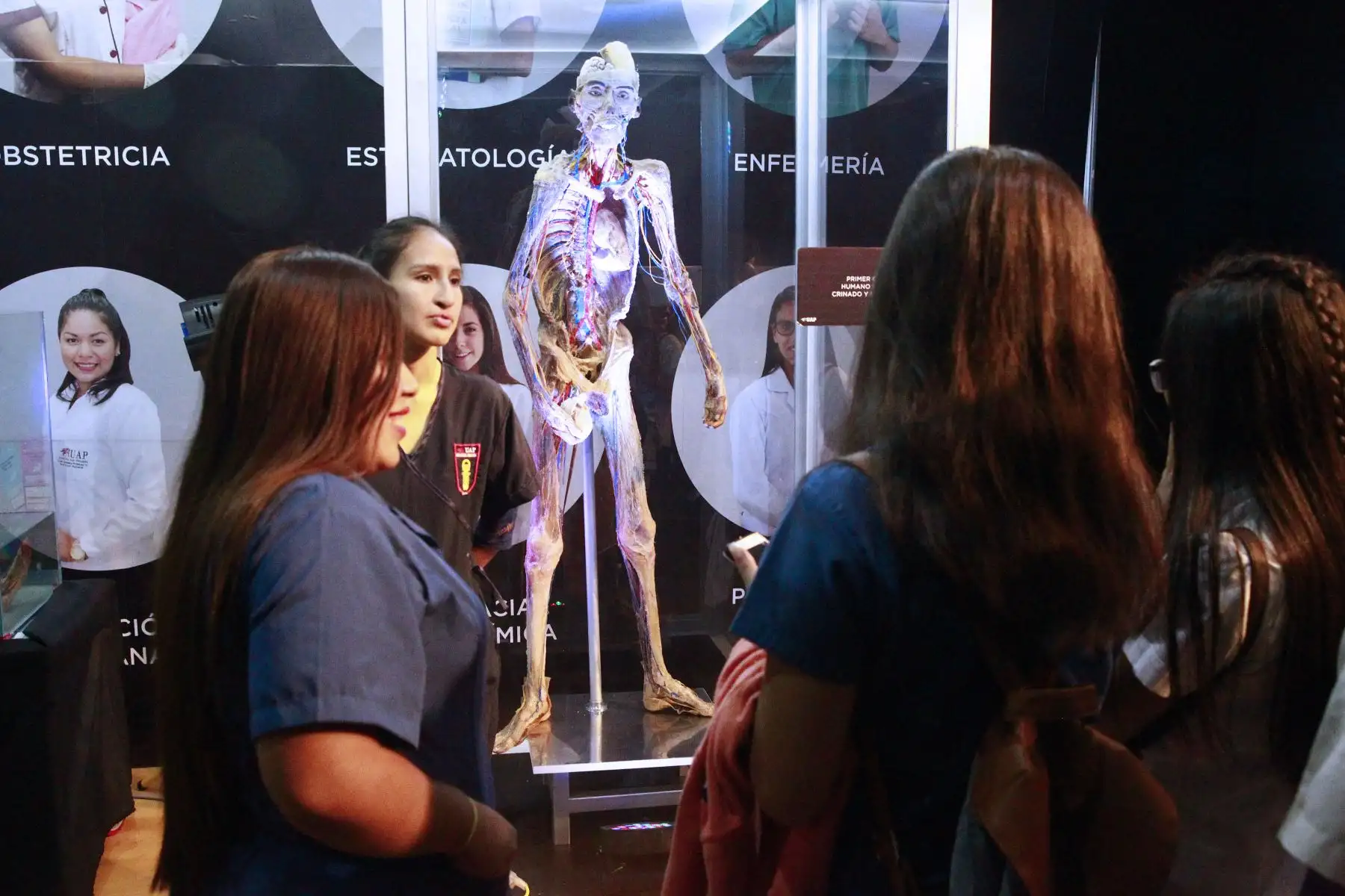 La impactante muestra Bodies, Cuerpos humanos reales se encuentra de paso por Lima para mostrarnos cómo funciona el organismo. Foto: ANDINA/Eddy Ramos