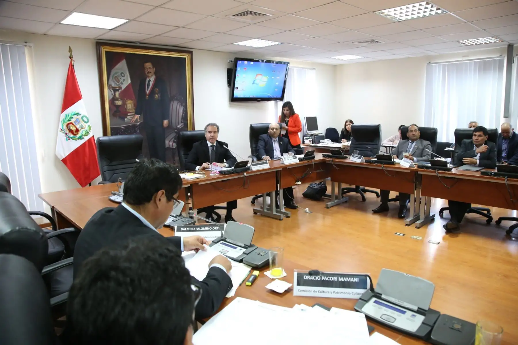 Comisión de Cultura del Congreso.