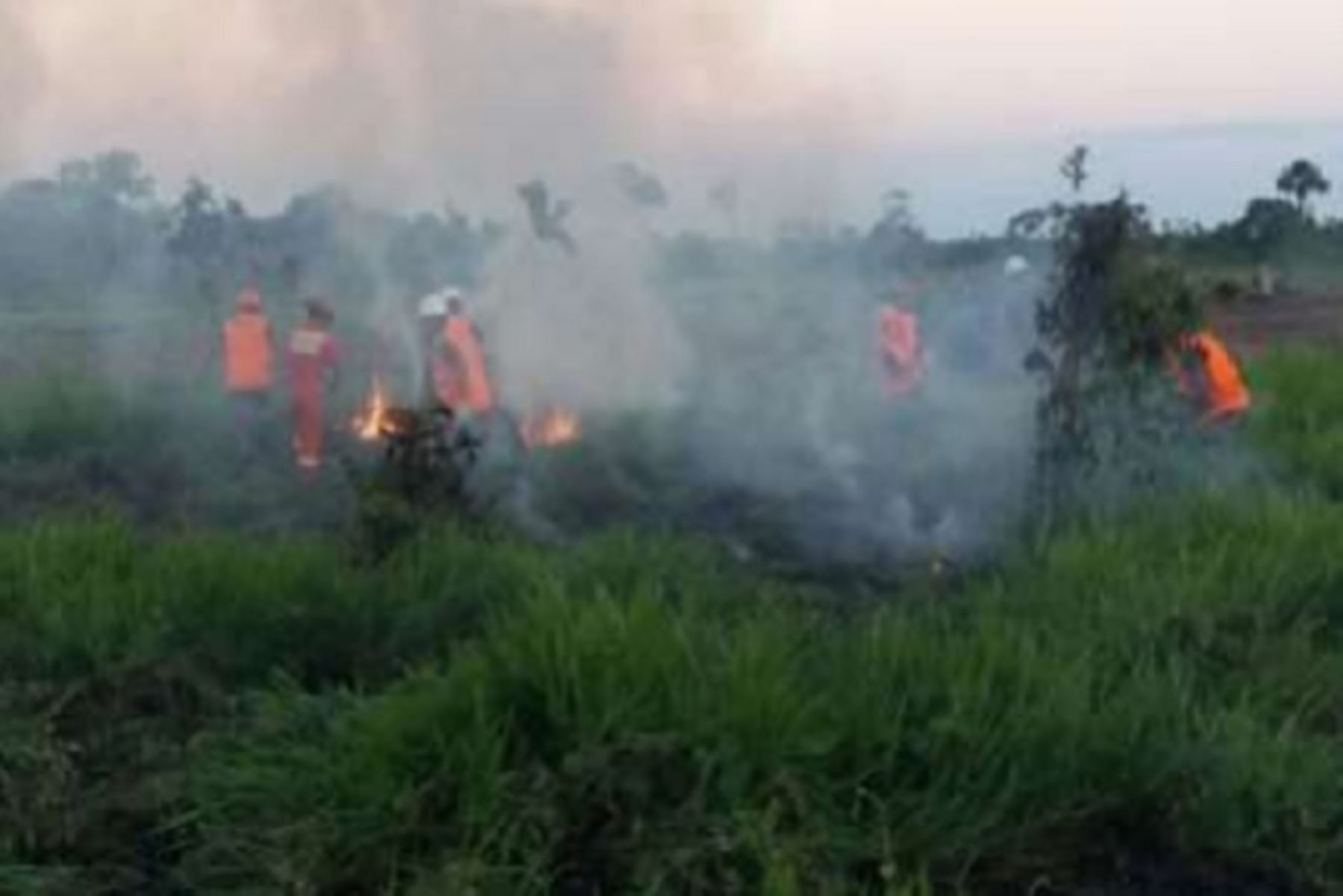 Bomberos y efectivo del  Ejército lograron extinguir en su totalidad un incendio forestal ocurrido en la víspera en el distrito de Las Piedras, provincia de Tambopata, región Madre de Dios, sin registrarse daños personales.