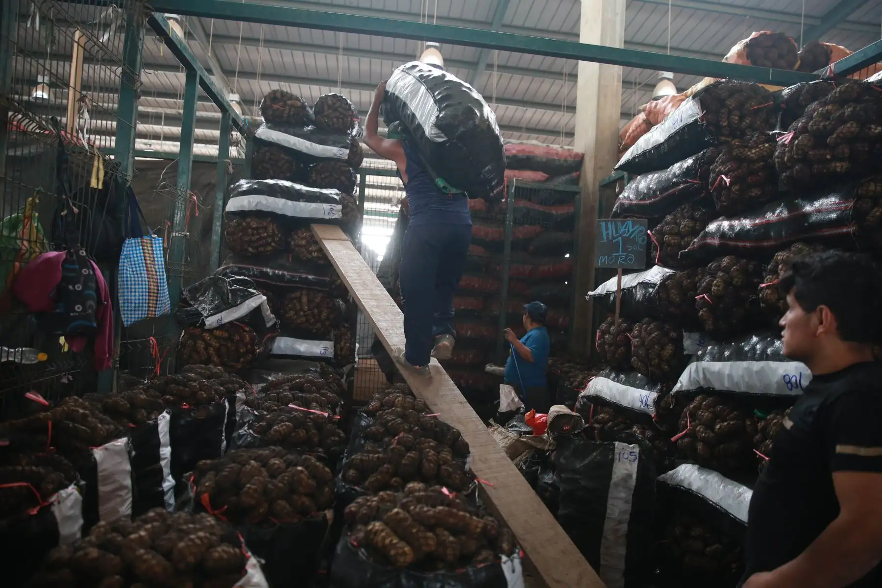 Huánuco, Junín y Ayacucho son las regiones de donde proviene la mayor variedad de este tubérculo. La papa blanca, por ejemplo, viene de Junín y Huánuco; mientras que la Canchán, de Ayacucho. Foto: ANDINA/Vidal Tarqui.