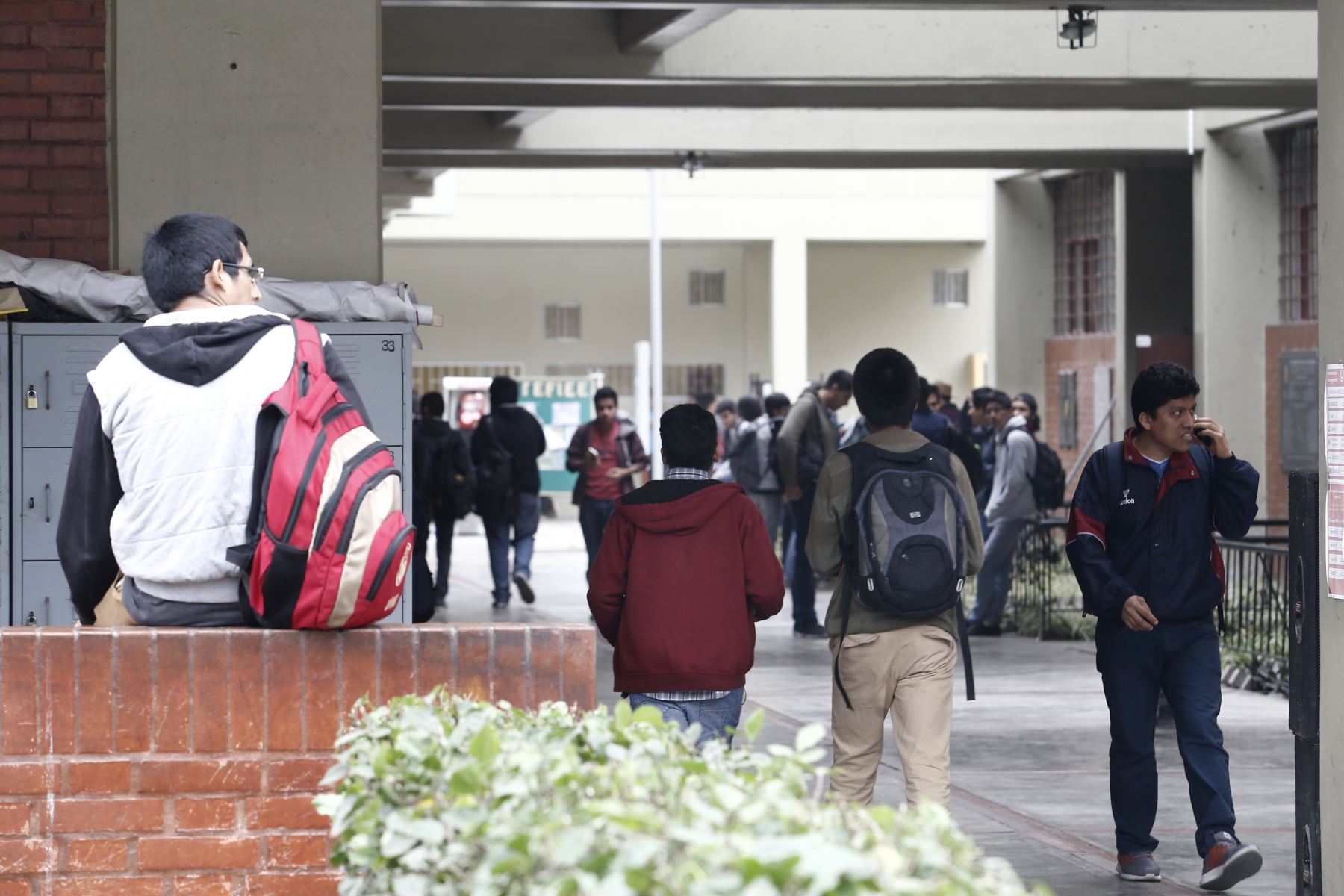 Consumo de drogas habría aumentado entre estudiantes universitarios. Foto: ANDINA/Melina Mejía