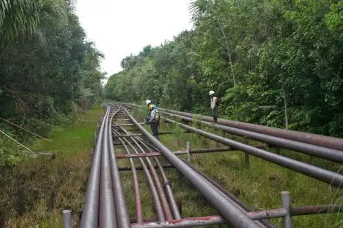 El Ministerio de Energía y Minas (Minem) informó que ha iniciado las acciones de coordinación correspondientes con Petroperú, OEFA y Osinergmin, ante la presencia de manchas oleosas detectadas a la altura del Km. 12 del Oleoducto Ramal Norte (ORN)-cruce con el río Pastaza, ubicado en el distrito de Andoas, provincia Datem del Marañón, región Loreto.