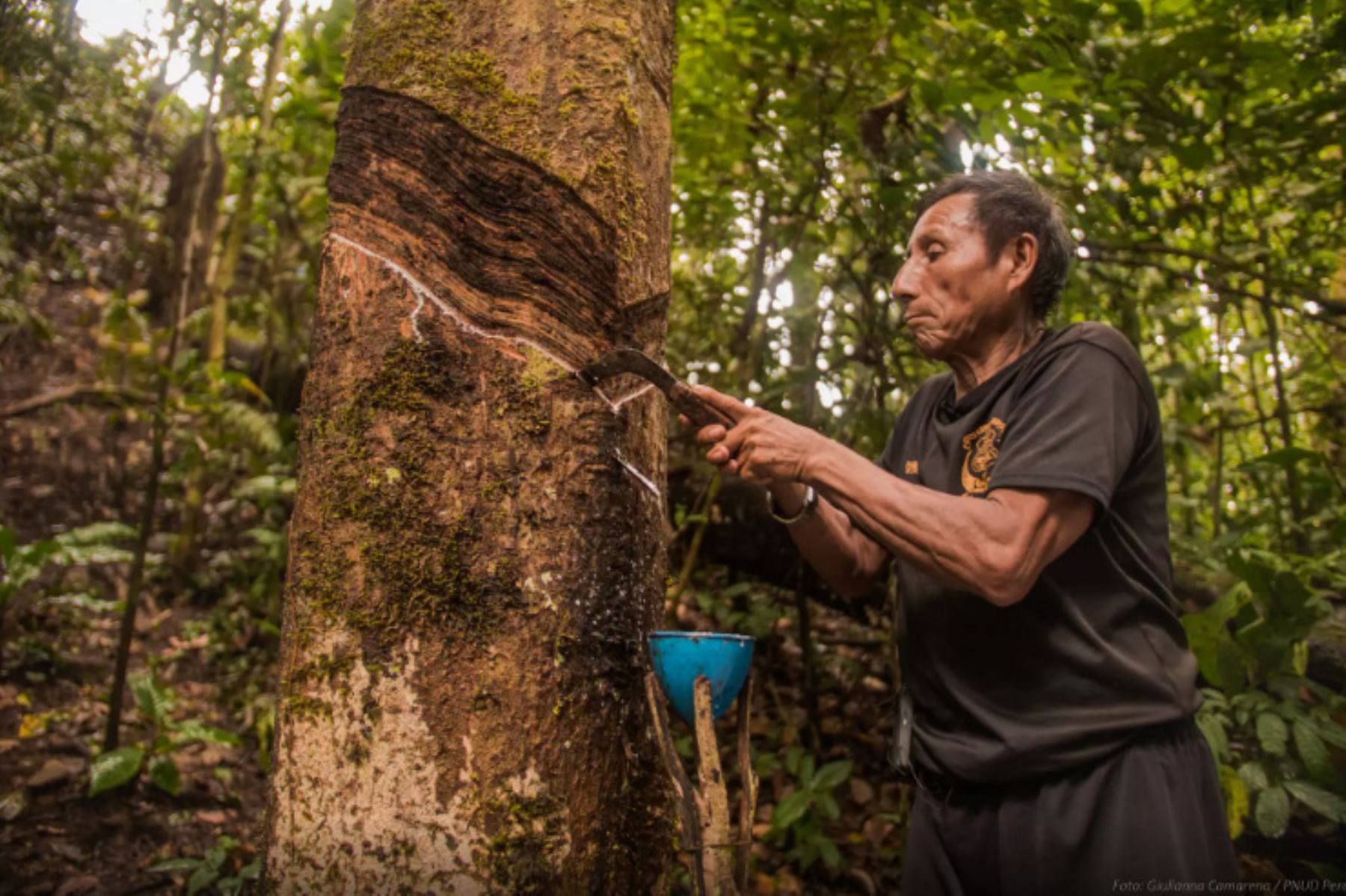 Sernanp y el Plan Binacional de Desarrollo de la Región Fronteriza Perú-Ecuador (Capítulo Perú) unen esfuerzos para impulsar el desarrollo sostenible de las comunidades de Amazonas. ANDINA/Difusión