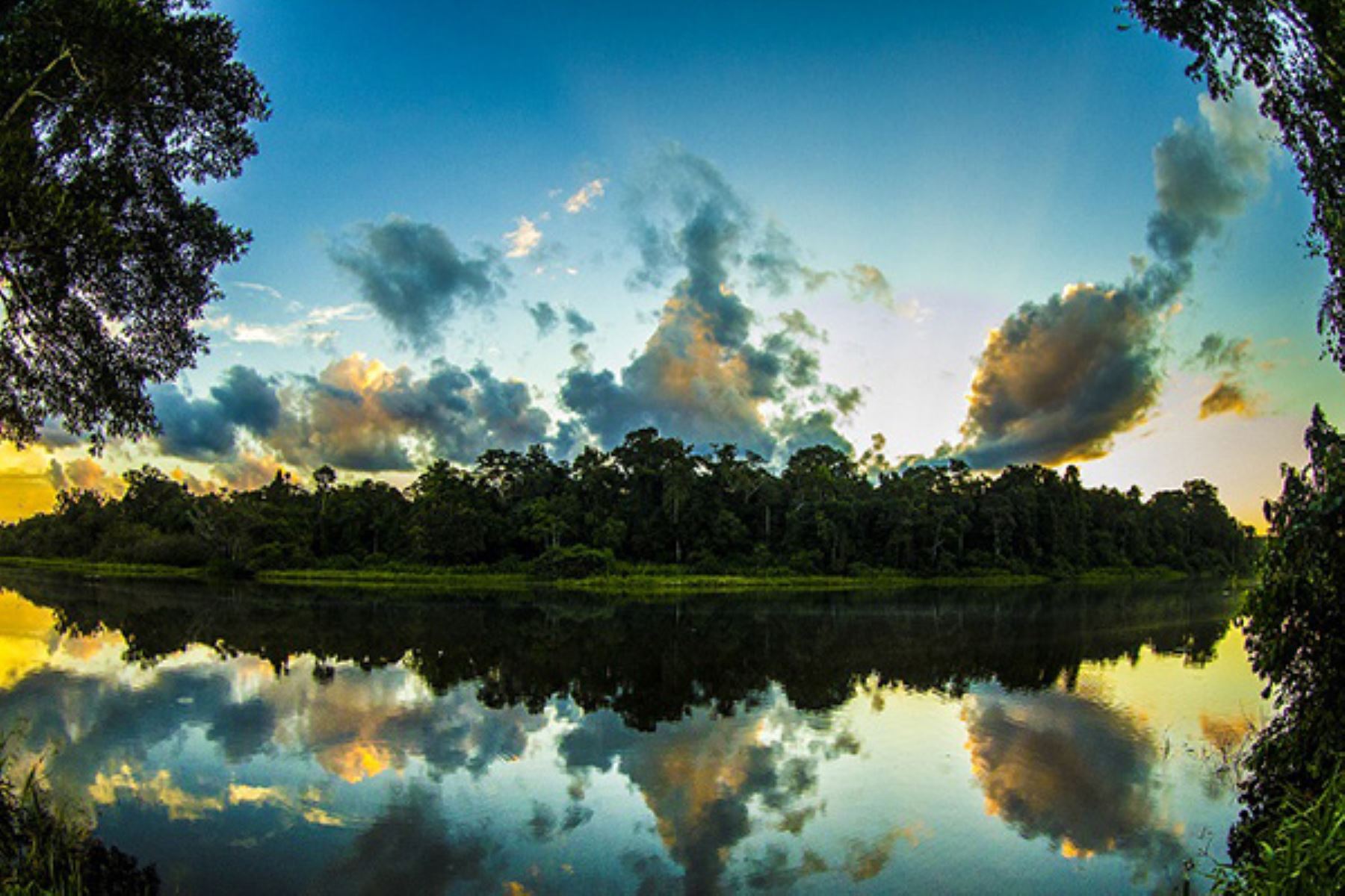 Conozca la inigualable belleza y biodiversidad del Parque Nacional del Manu. ANDINA/Difusión