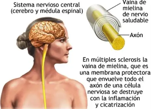 ANDINA/Difusión