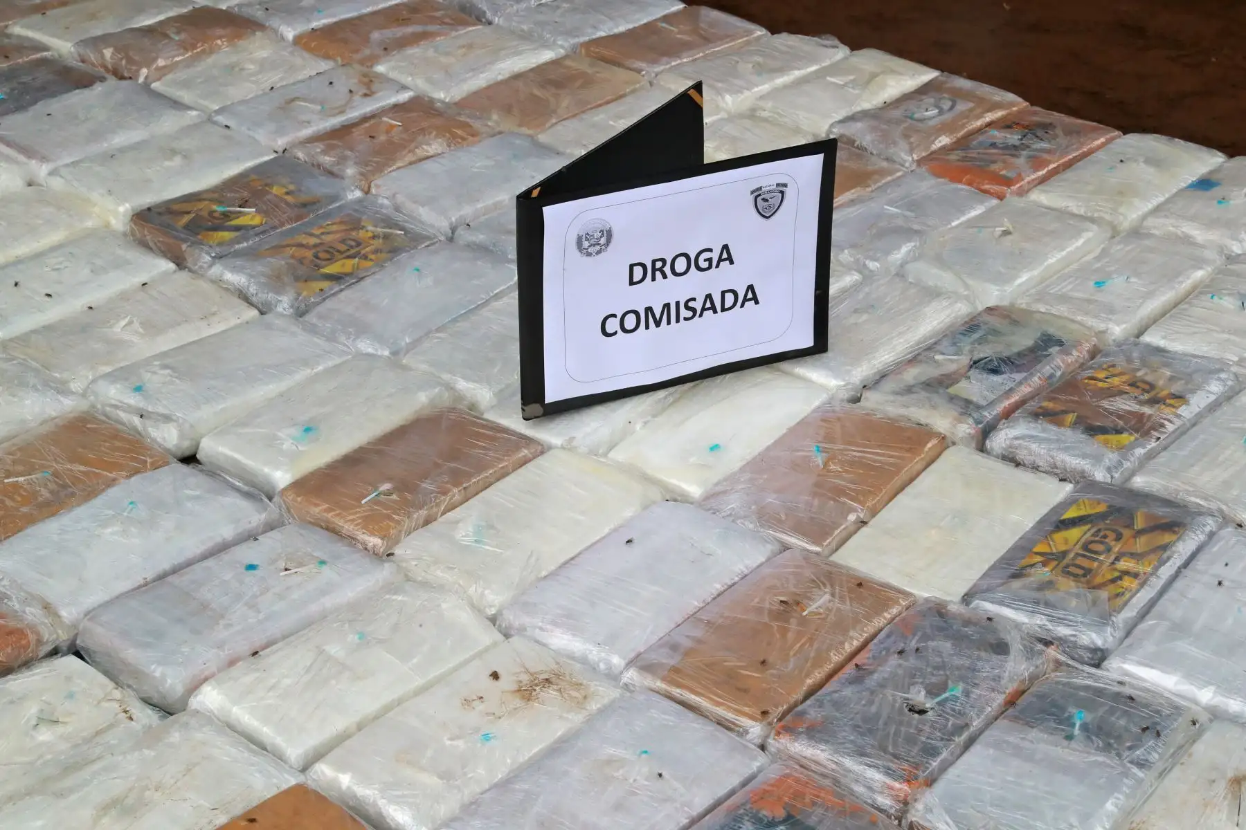 El presidente Martín Vizcarra, recibió detalles del operativo que permitió el decomiso de más de una tonelada de droga en la localidad de Chancay. Foto: ANDINA/Prensa Presidencia