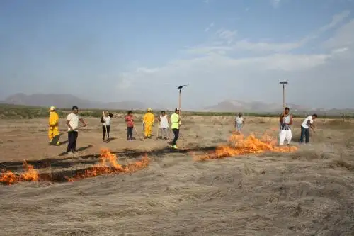 Conforman brigadas contra incendios forestales en Santuario Histórico Bosque de Pómac, en Lambayeque. ANDINA/Difusión