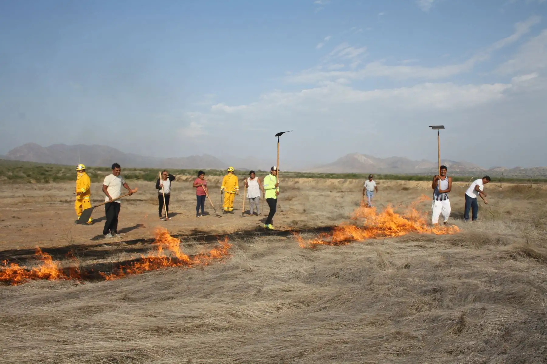 Conforman brigadas contra incendios forestales en Santuario Histórico Bosque de Pómac, en Lambayeque. ANDINA/Difusión
