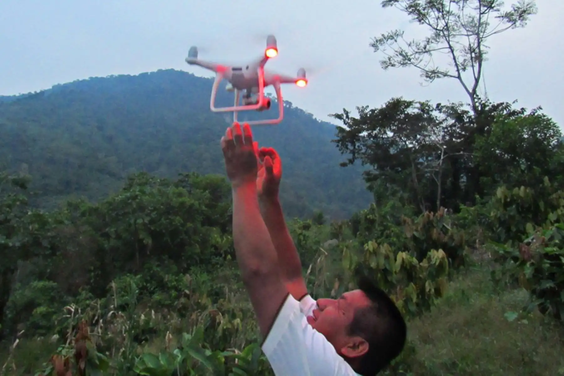 San Martín empleará tecnología para luchar contra la deforestación. ANDINA/Difusión