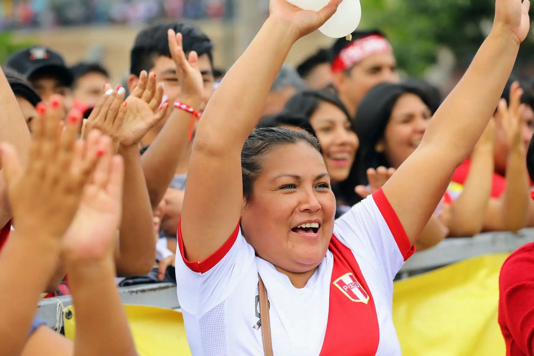 Celebración de hinchas en el Parque de La Muralla durante el partido de Perú contra Arabia Saudita. Foto: ANDINA/Luis Iparraguirre