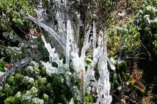 Las heladas básicamente se registran en la zona sierra de la región Áncash. En la costa tenemos vientos fríos.