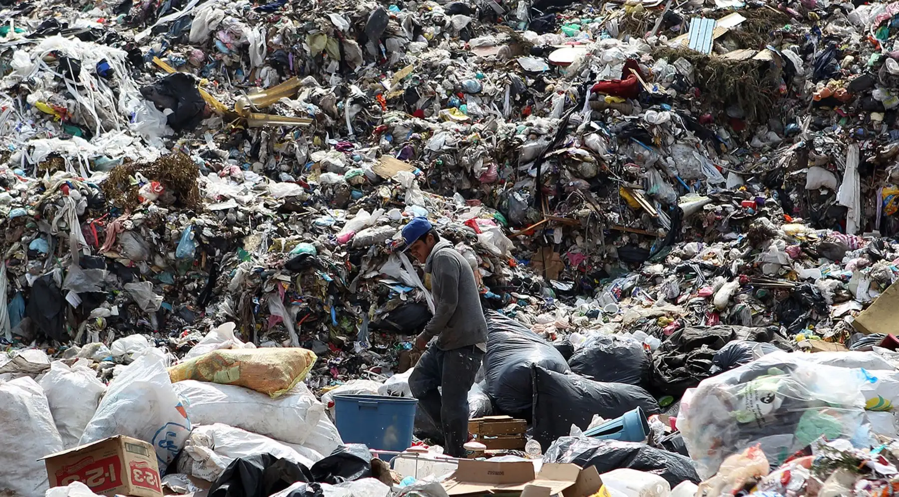 El Día Mundial del Medio Ambiente se conmemora anualmente el 5 de junio y tiene como objetivo promover el conocimiento y la acción para proteger el medio ambiente.Foto: EFE