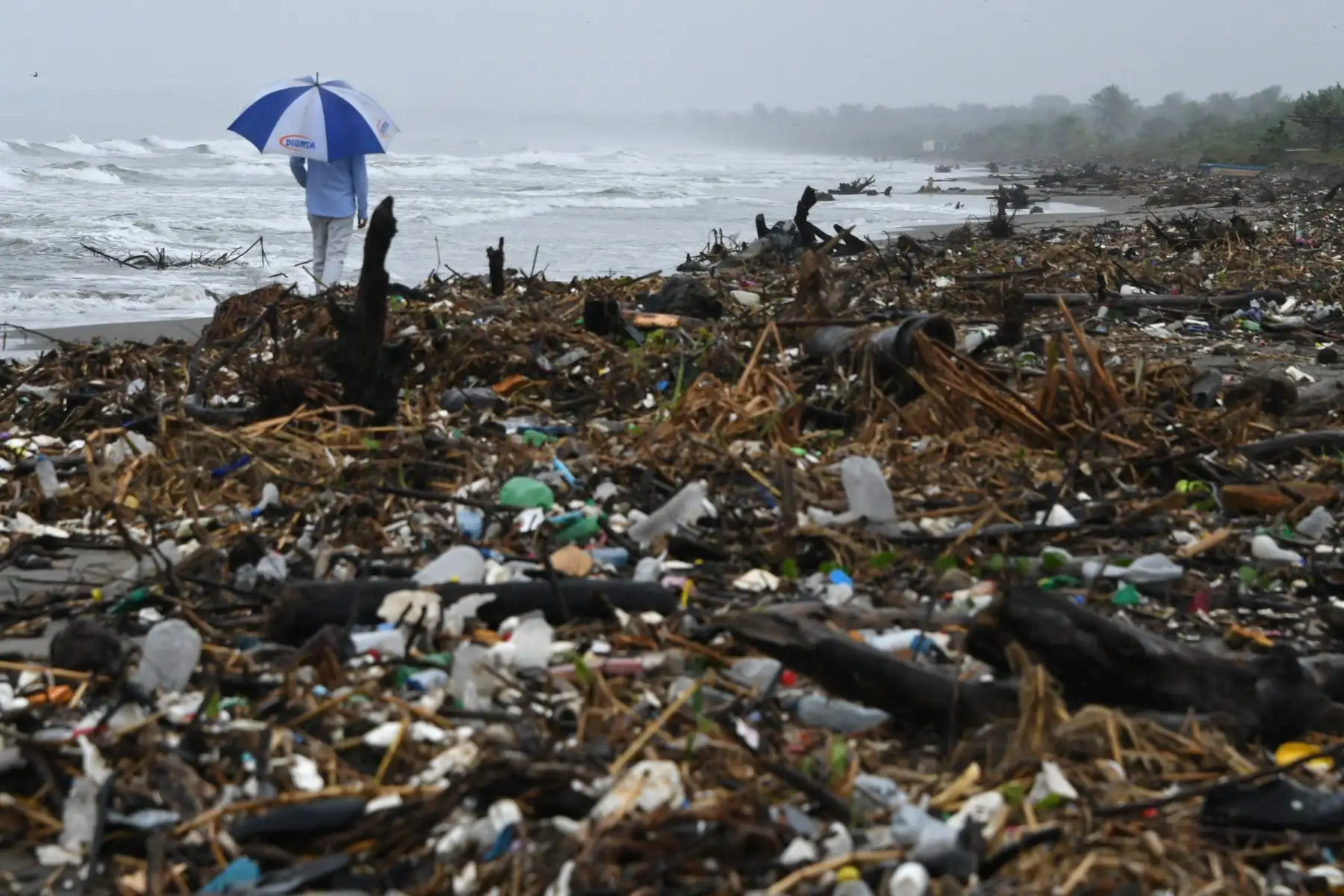 El Día Mundial del Medio Ambiente se conmemora anualmente el 5 de junio y tiene como objetivo promover el conocimiento y la acción para proteger el medio ambiente.Foto:AFP