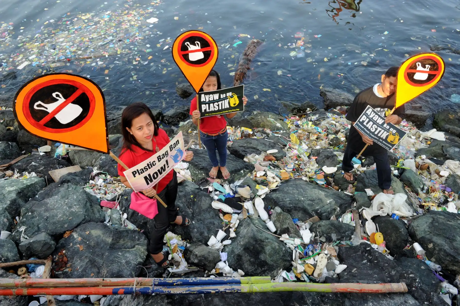 El Día Mundial del Medio Ambiente se conmemora anualmente el 5 de junio y tiene como objetivo promover el conocimiento y la acción para proteger el medio ambiente.Foto:AFP
