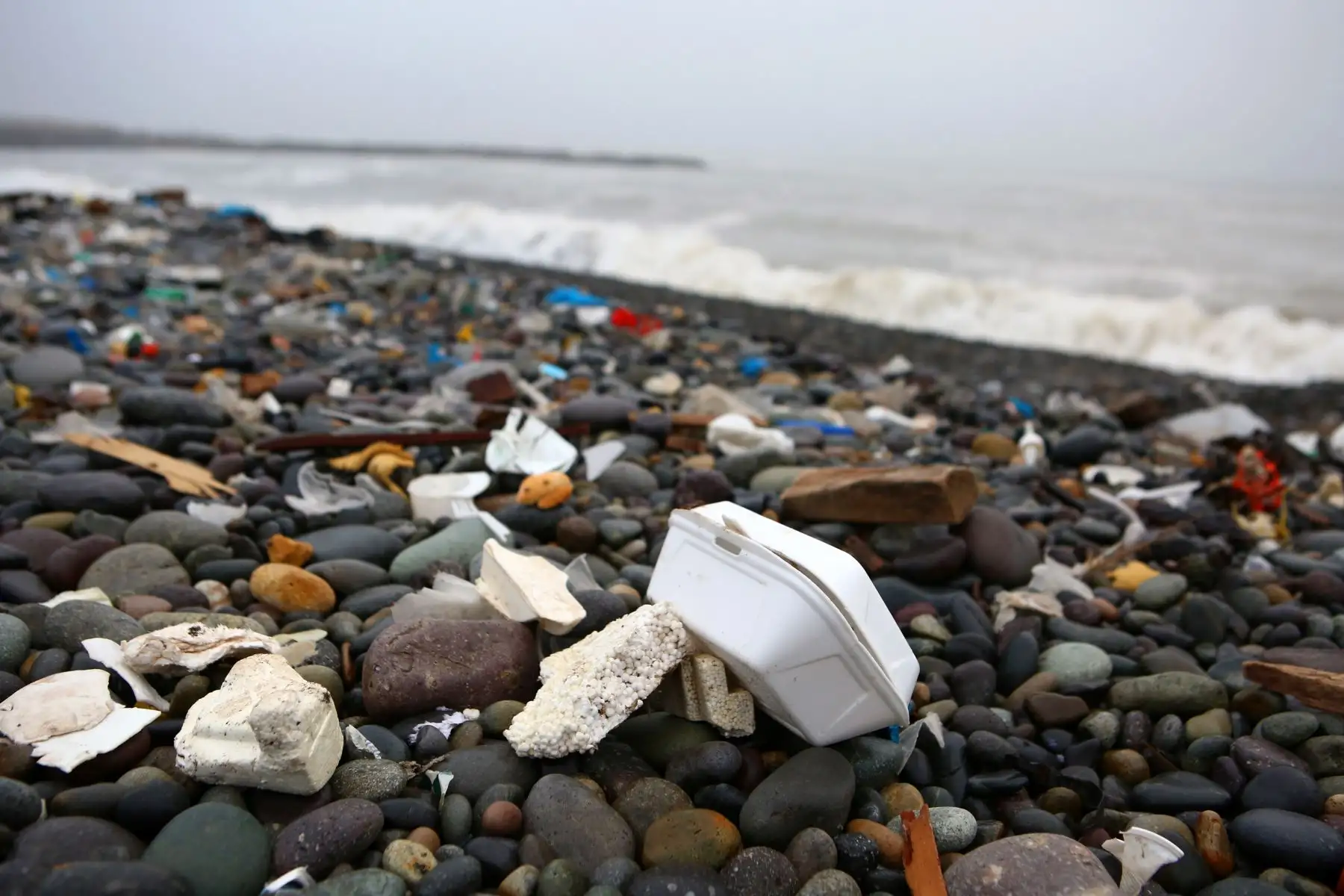 Ministerio del Ambiente en jornada de limpieza en la playa Carpayo, en el Callao, donde se reunieron asociaciones de pescadores, colectivos ciudadanos, sociedad civil y empresas privadas. Foto: ANDINA/Minam.