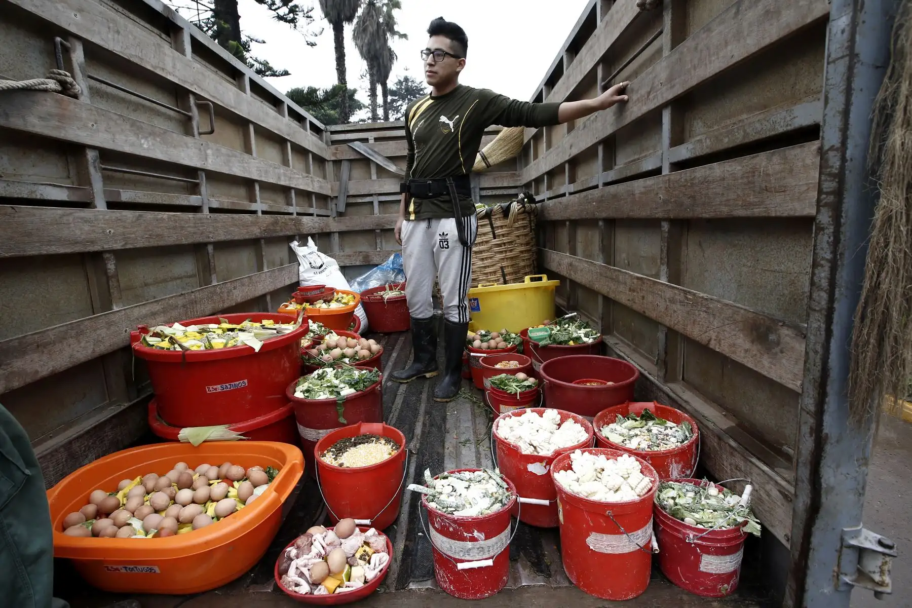 La dieta de los animales varia entre frutas y verduras de acuerdo a la estación, además de semillas o dietas más caloricas. Foto: ANDINA/Melina Mejía