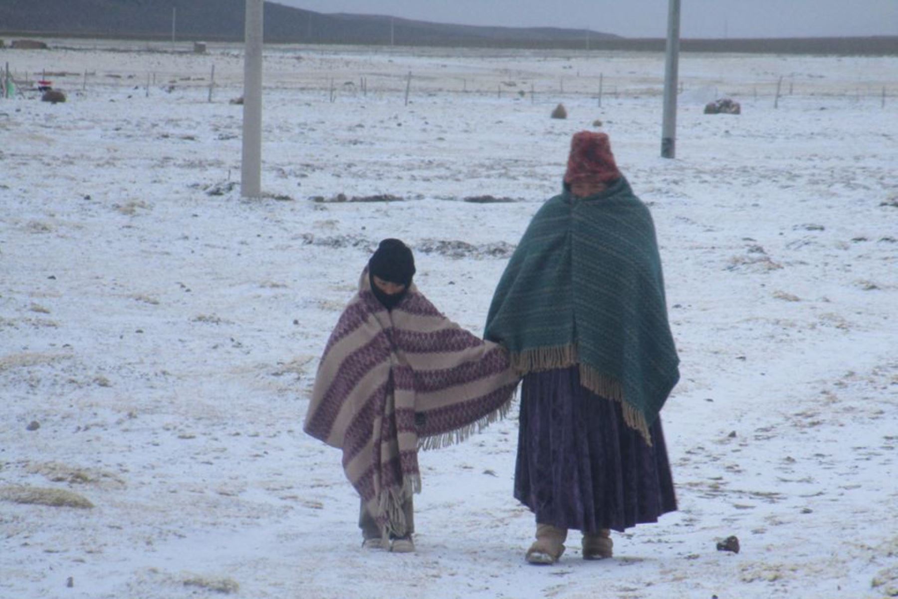 El Centro de Operaciones de Emergencia Regional (Coer) Puno, informó que 40 distritos de las 12 provincias de Puno, se ven afectadas con la caída de nevadas. Foto: ANDINA