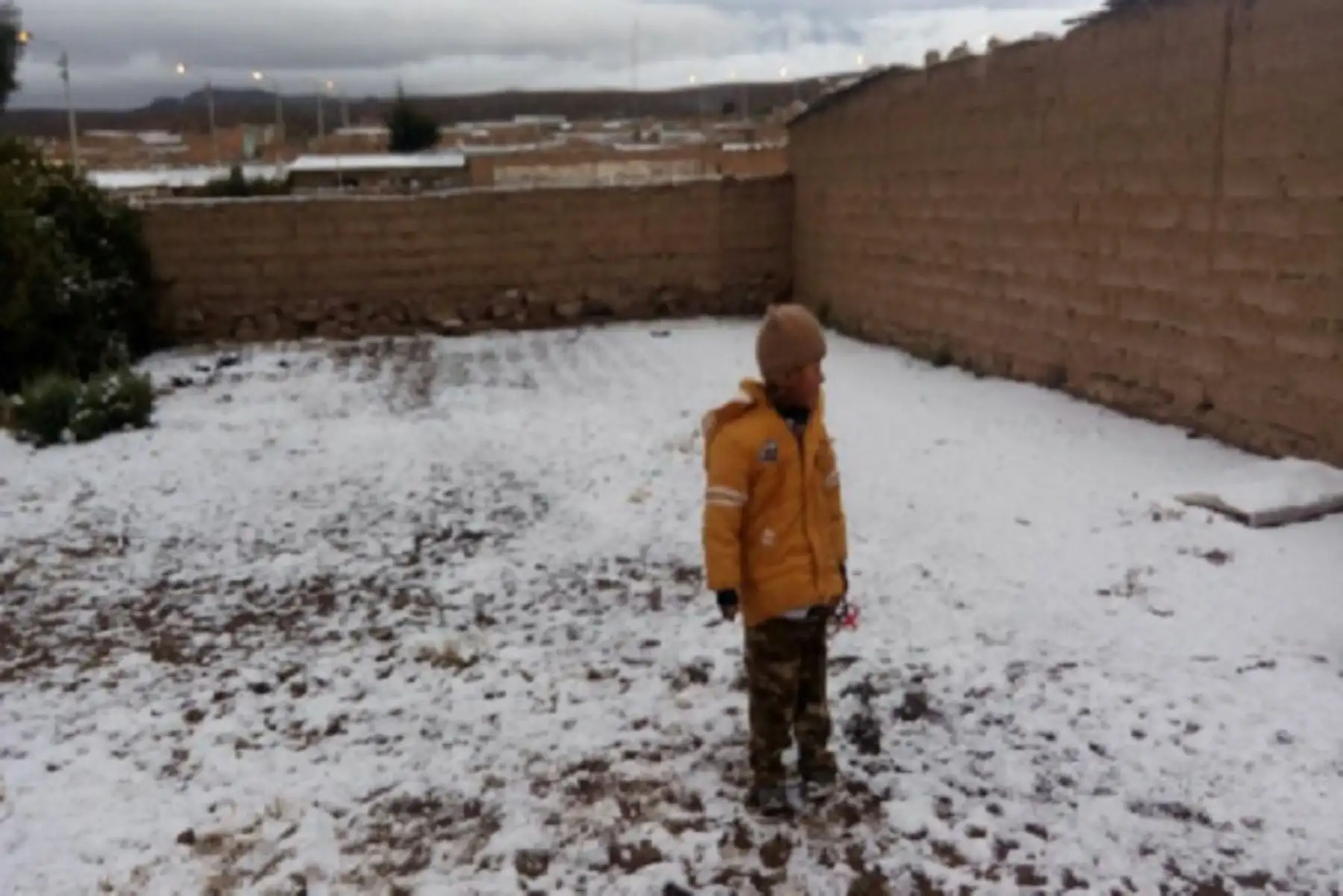 Gobierno Regional de Tacna, a través de la Oficina de Seguridad, Defensa Nacional y Civil, entregará 25 toneladas de ayuda humanitaria este viernes 8 para afrontar las heladas y nevadas que se registran en las zonas andinas.