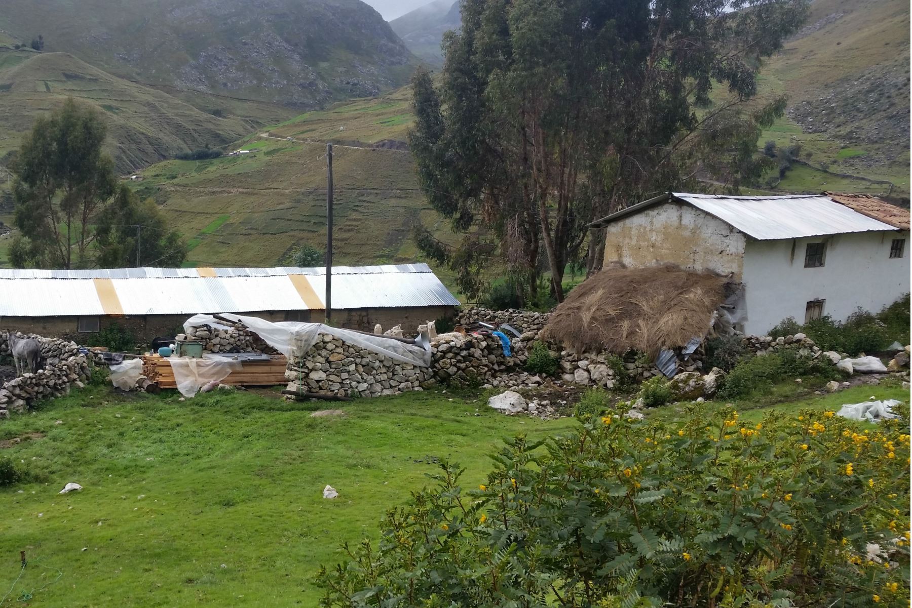 Contraloría General de la República advierte de riesgos en proceso de selección de Fondo Procompite en Huancavelica. ANDINA/Difusión