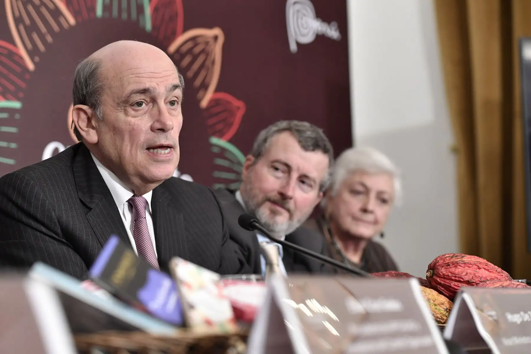 Foto:  ANDINA/Difusión.
