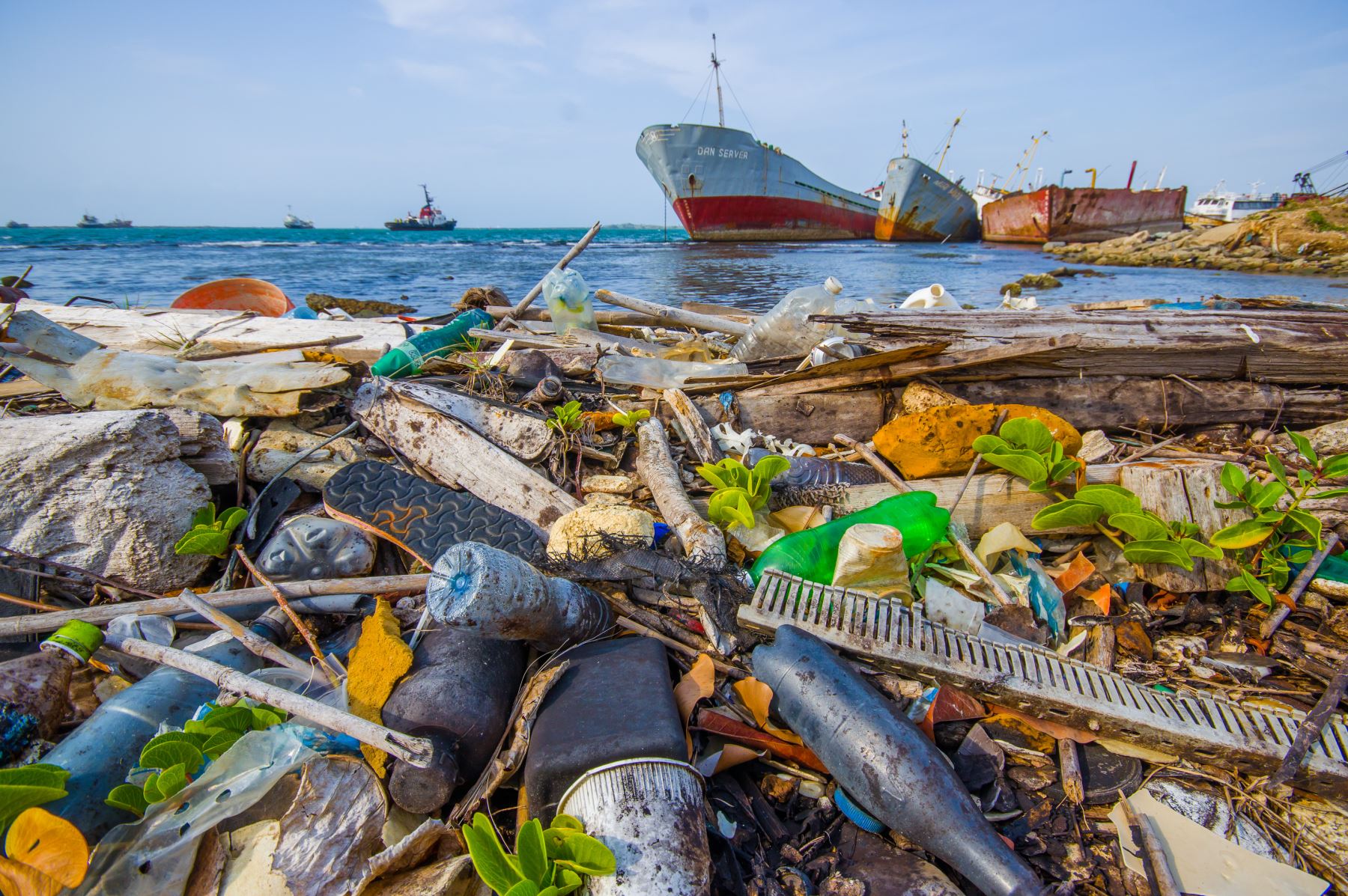 Contaminación por plástico, uno de los problemas más álgidos del medio ambiente, Foto: ANDINA/Difusión