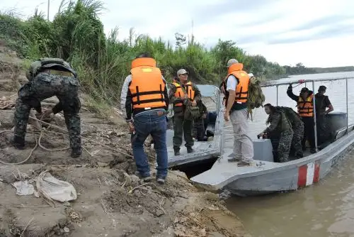 Operativos conjuntos influyen en la disminución de la tala ilegal en la Reserva Comunal El Sira. ANDINA/Difusión