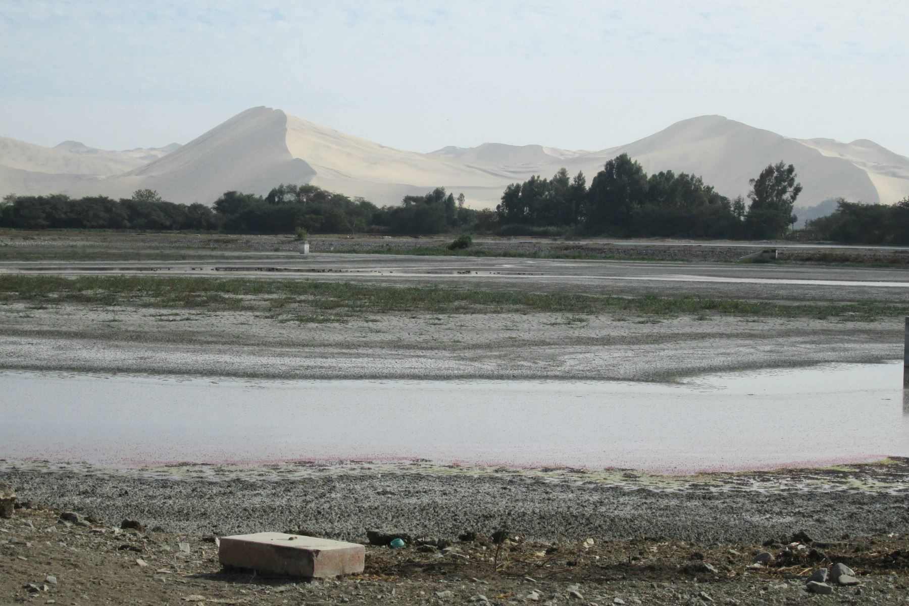 Ica será la primera región donde se venderá aguas residuales sin tratamiento