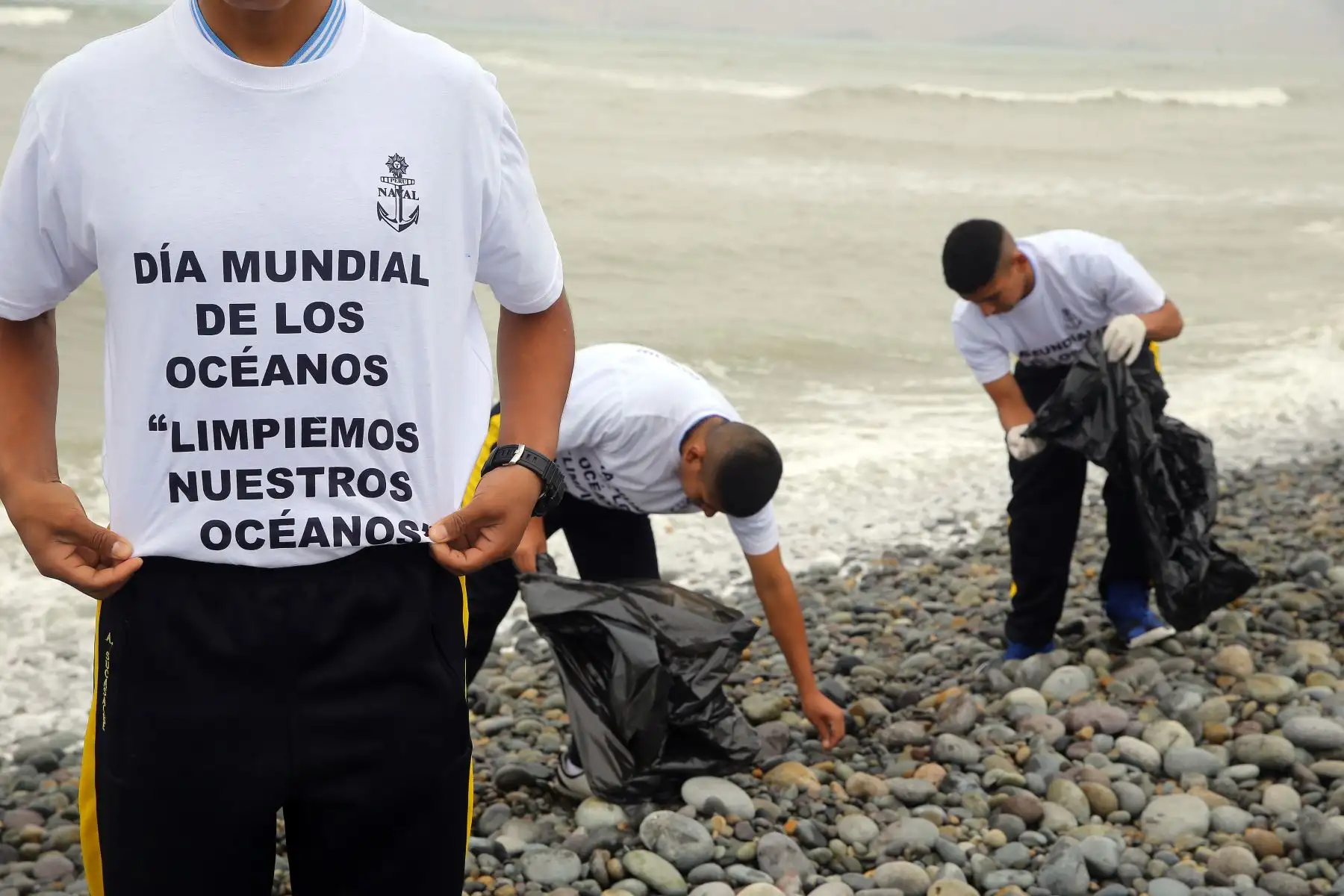 Sirven como regulador climático, son fuente de recursos biológicos alimentarios, así como de materias primas, entre otros. Foto: ANDINA/Luis Iparraguirre
