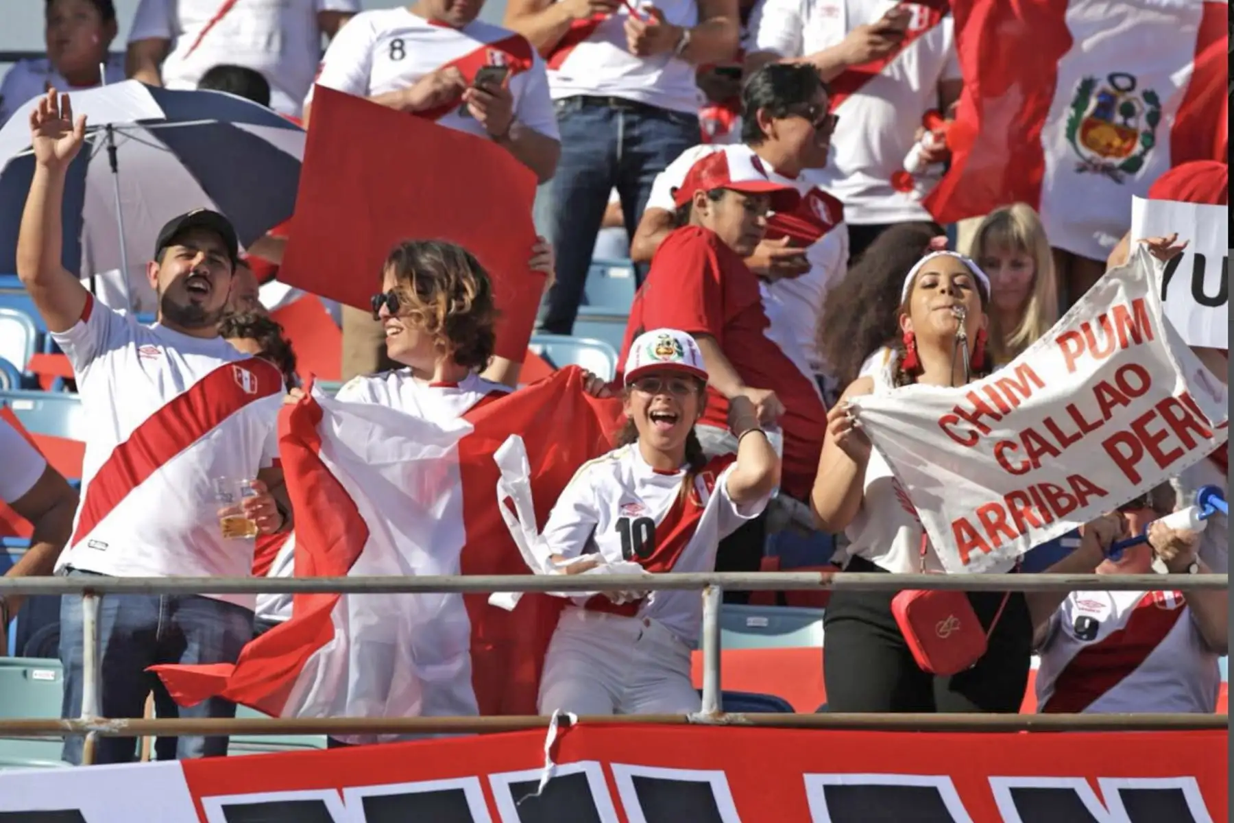 Hinchas Peruanos flamean  la bicolor durante el partido de fútbol amistoso internacional Suecia vs Perú en Gotemburgo. Foto: ANDINA/FPF
