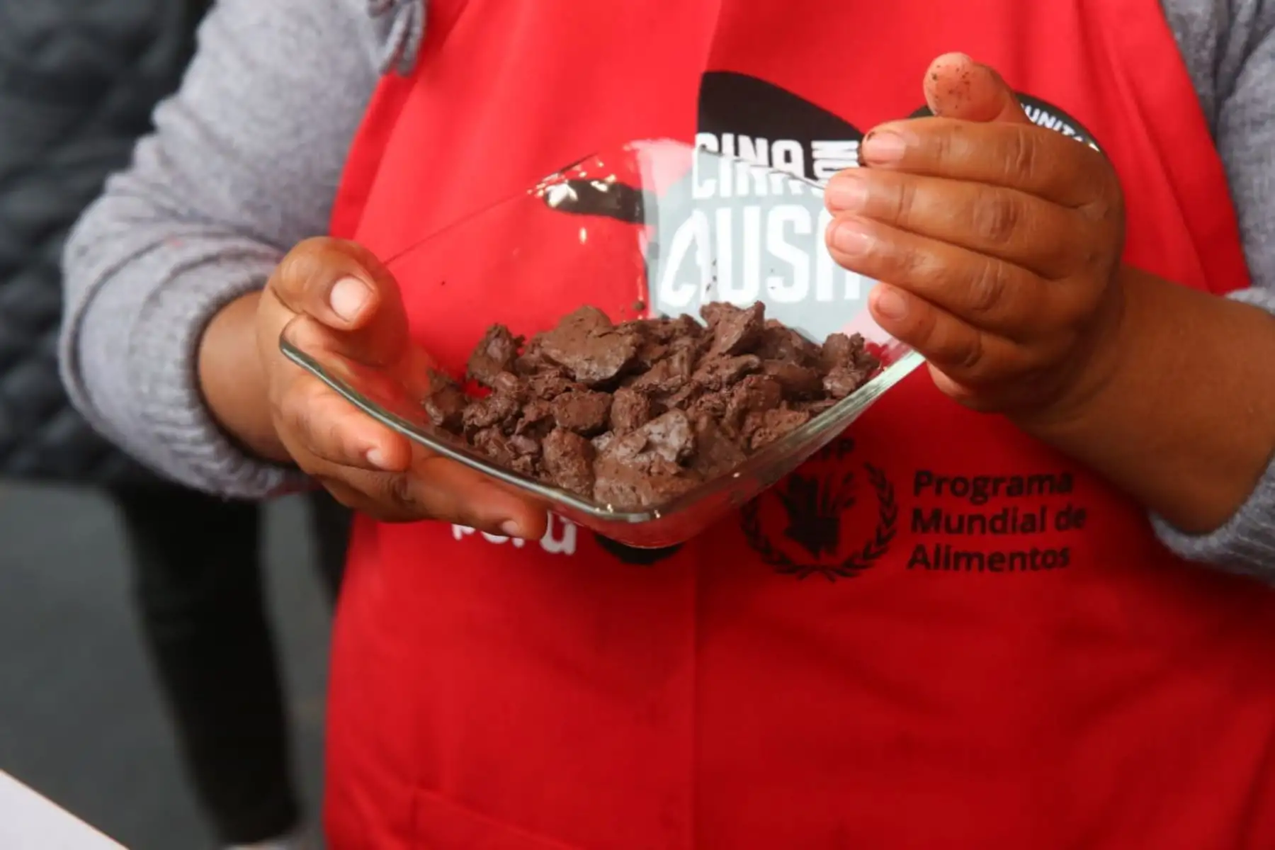 Presidente Martin Vizcarra lidera lanzamiento de segunda temporada de Cocina Con Causa, iniciativa multisectorial que promueve uso de alimentos nutritivos en la mesa peruana. ¡Unidos en la lucha contra la anemia y la desnutrición infantil!. Foto: ANDINA/Prensa Presidencia