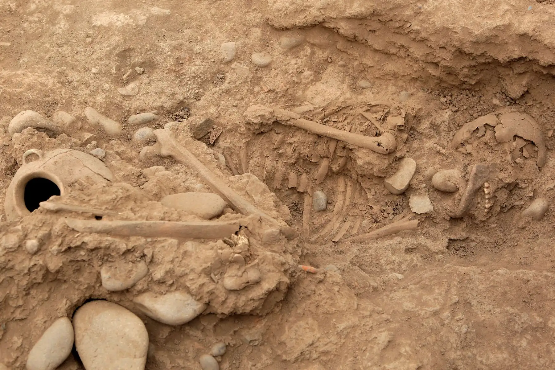 Presentan nuevos entierros humanos fueron descubiertos en la parte baja de la Huaca El Rosal, en el Complejo Arqueológico de Maranga. Foto:ANDINA/Héctor Vinces.