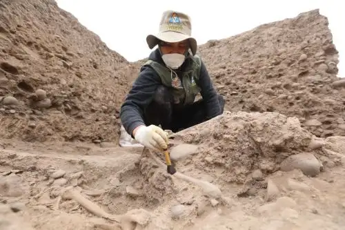 Hallan entierros humanos en huaca del Parque de las Leyendas. Foto: ANDINA/Difusión.