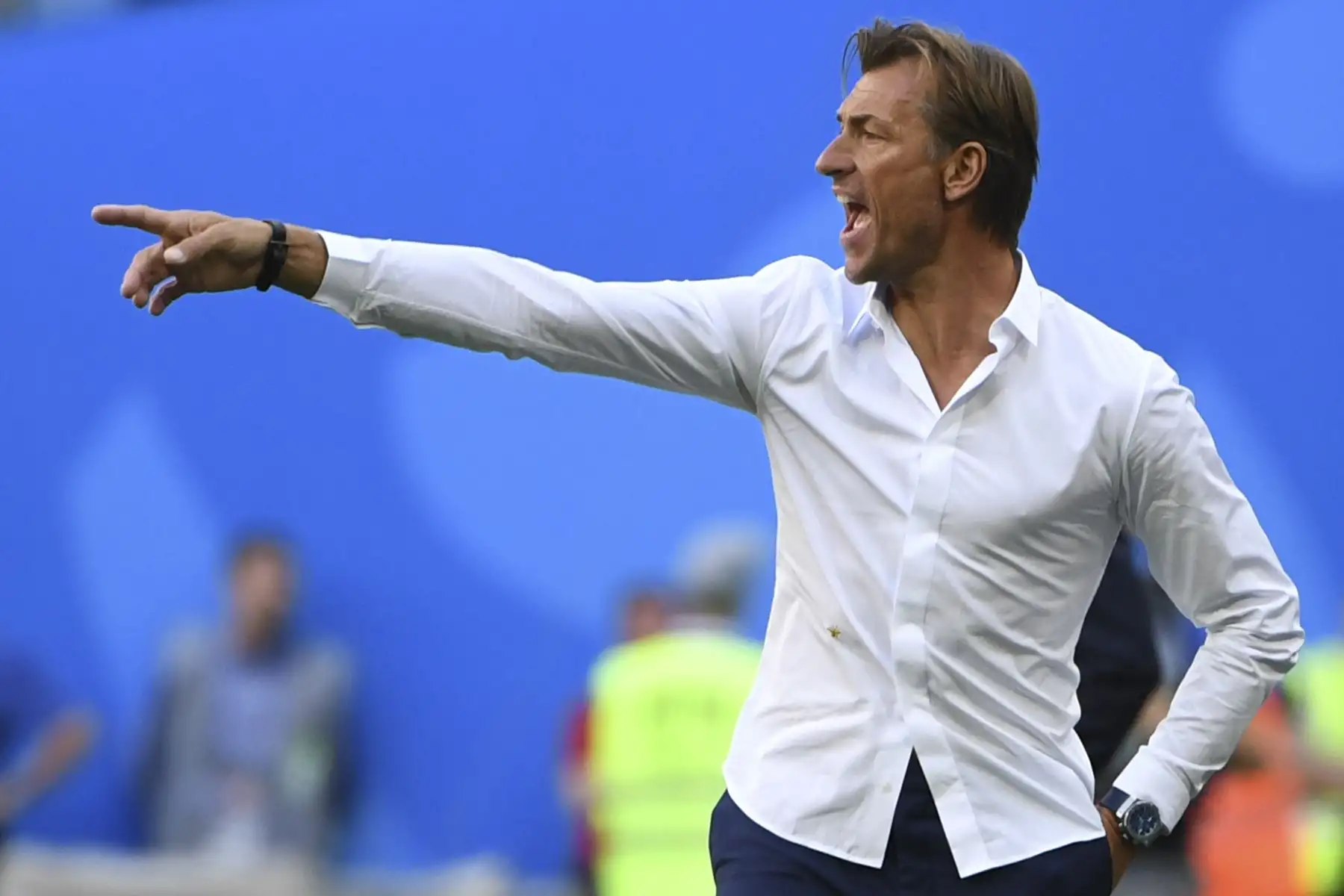 El entrenador de Marruecos, Herve Renard, hace gestos desde el banquillo durante el partido de fútbol de la Copa del Mundo Rusia 2018 Grupo B entre Marruecos e Irán en el estadio de San Petersburgo. AFP
