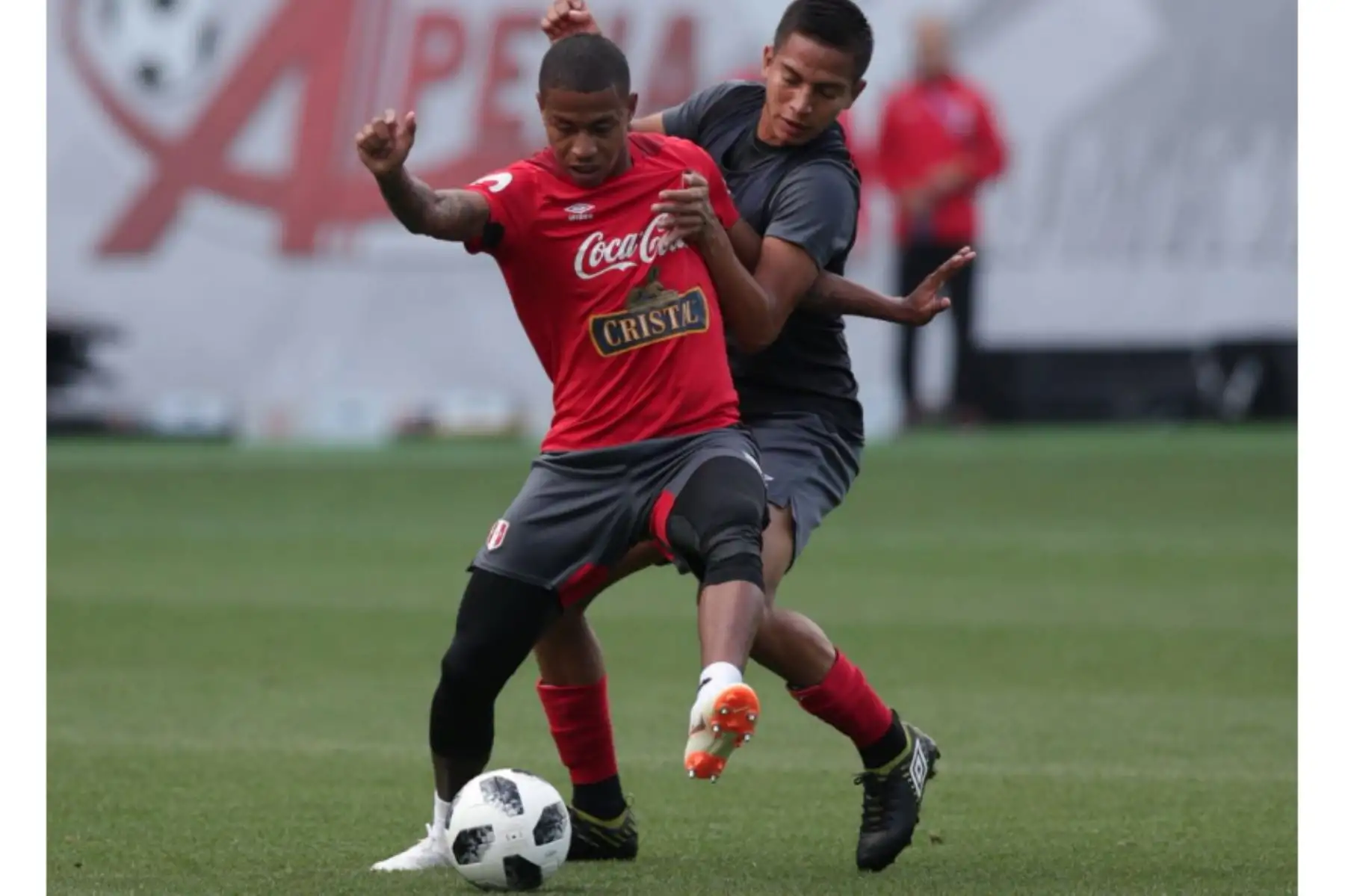 Selección peruana: así trabajó Perú con miras al partido con Francia.Foto: ANDINA/FPF