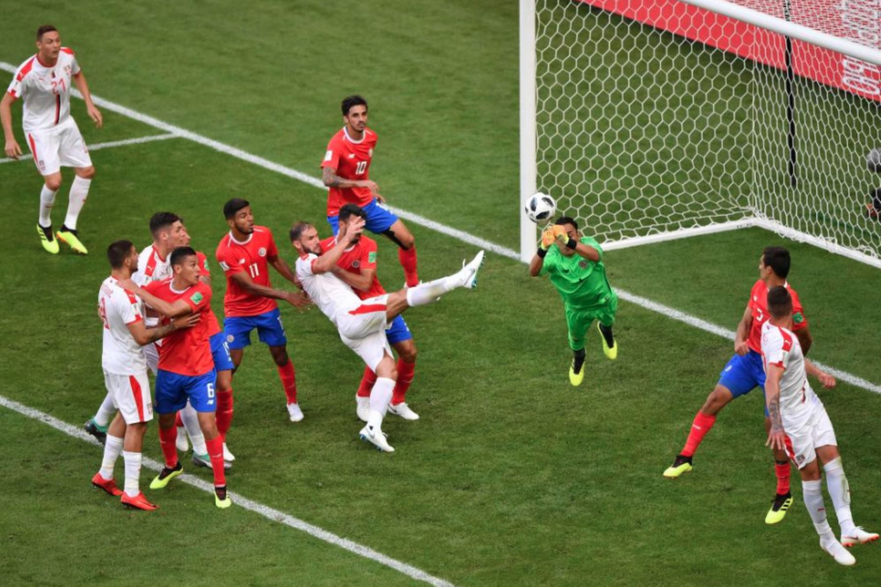 Serbia venció a Costa Rica 1 – 0 y complica aspiraciones de centroamericanosFoto:ANDINA/Selecc. Serbia