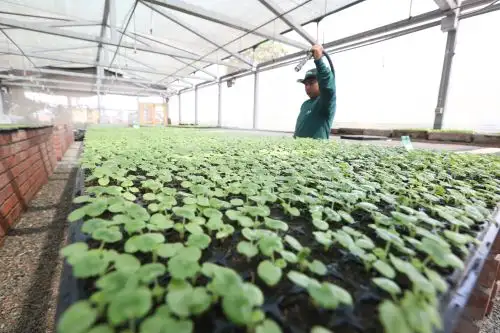 Vivero municipal de Lima. Foto: Andina/Difusión