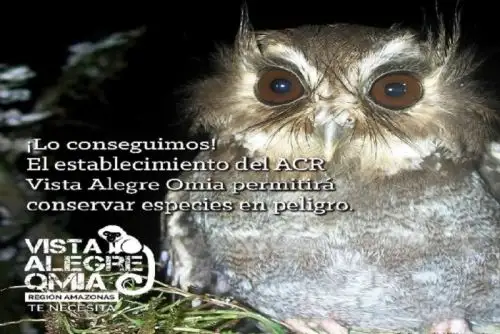 La región Amazonas ya cuenta con dos Áreas de Conservación Regional: Vista Alegre Omia y Bosques Tropicales Estacionalmente Secos del Marañón, áreas de gran importancia ambiental en las que se conservan especies únicas en el mundo y servicios ecosistémicos en beneficio de la población de seis distritos y tres provincias.