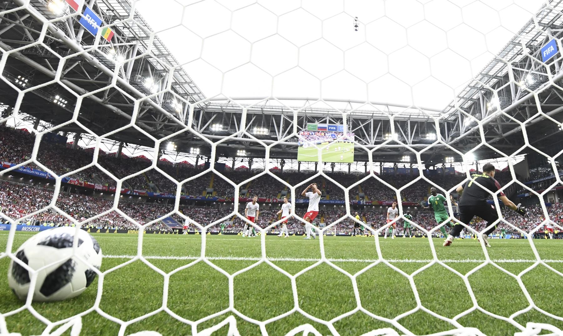 El defensor Thiago Rangel Cionek (C) de Polonia reacciona después de anotar un gol al lado del delantero de Senegal Mame Biram Diouf (R) celebrando durante el partido de fútbol del Grupo H Rusia 2018 entre Polonia y Senegal en el Spartak Stadium de Moscú el 19 de junio de 2018 . / AFP
