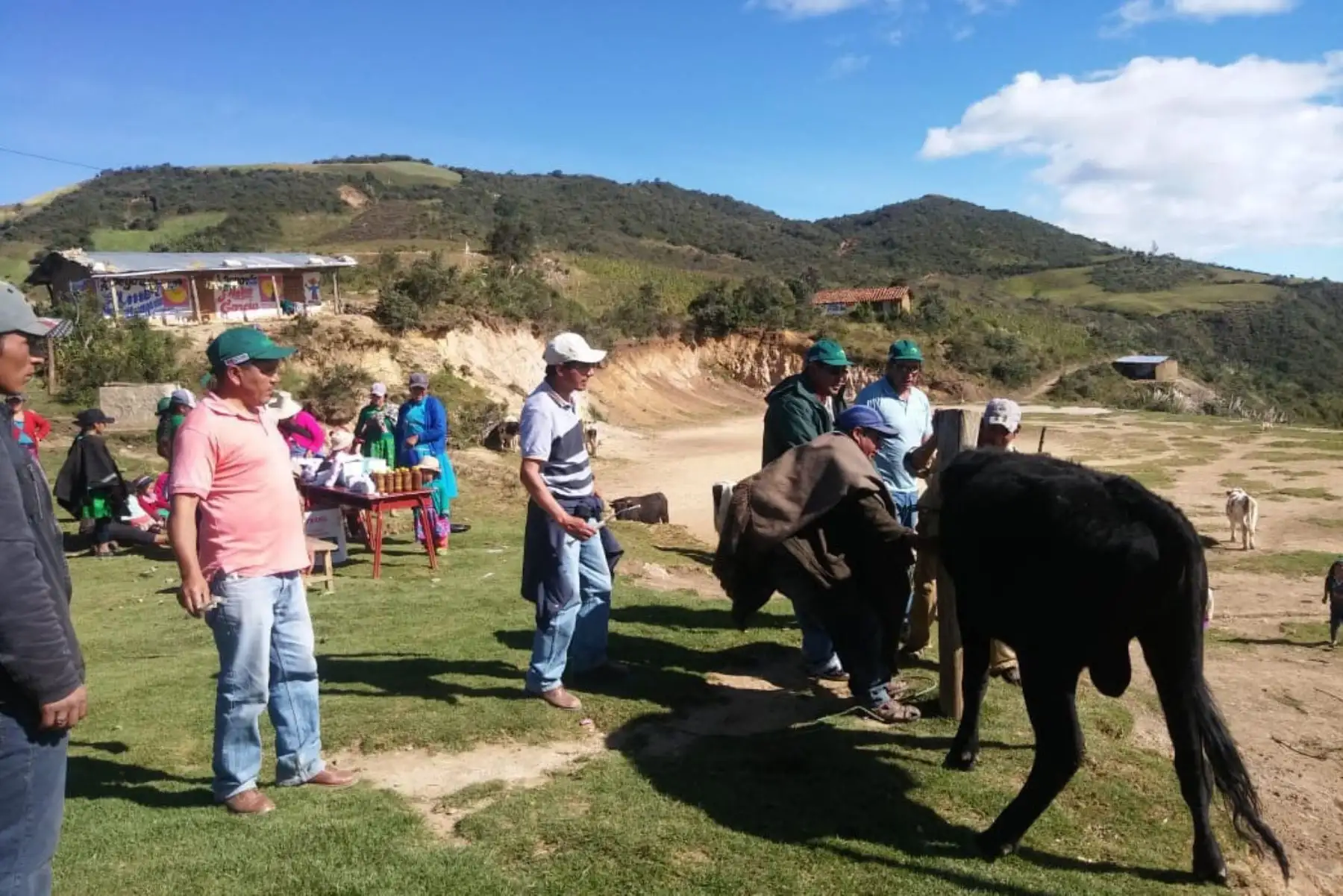 Agricultores de Ayabaca, en la sierra de Piura, reciben kits veterinarios para enfrentar bajas temperaturas. ANDINA/Difusión