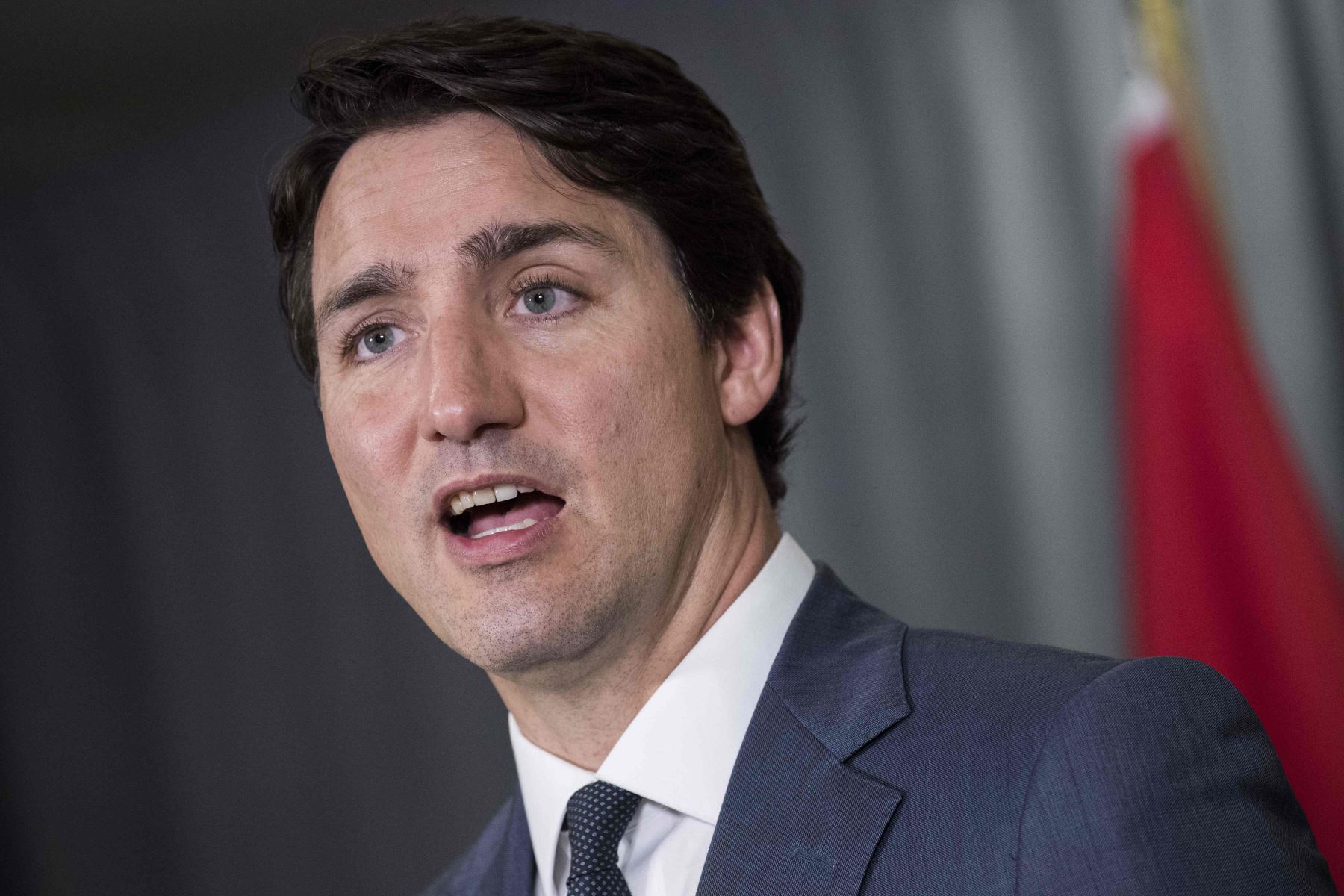 Primer Ministro canadiense Justin Trudeau Foto: AFP