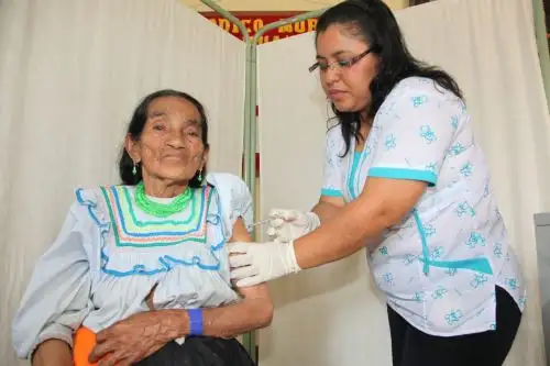 Brigadistas del Ministerio de Salud buscan casa por casa a pobladores afectados por malaria en Loreto. ANDINA/Difusión