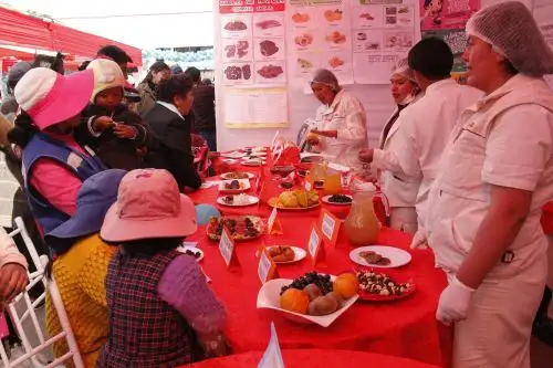 Autoridades de Puno lanzan segunda Jornada Nacional contra la Anemia. ANDINA