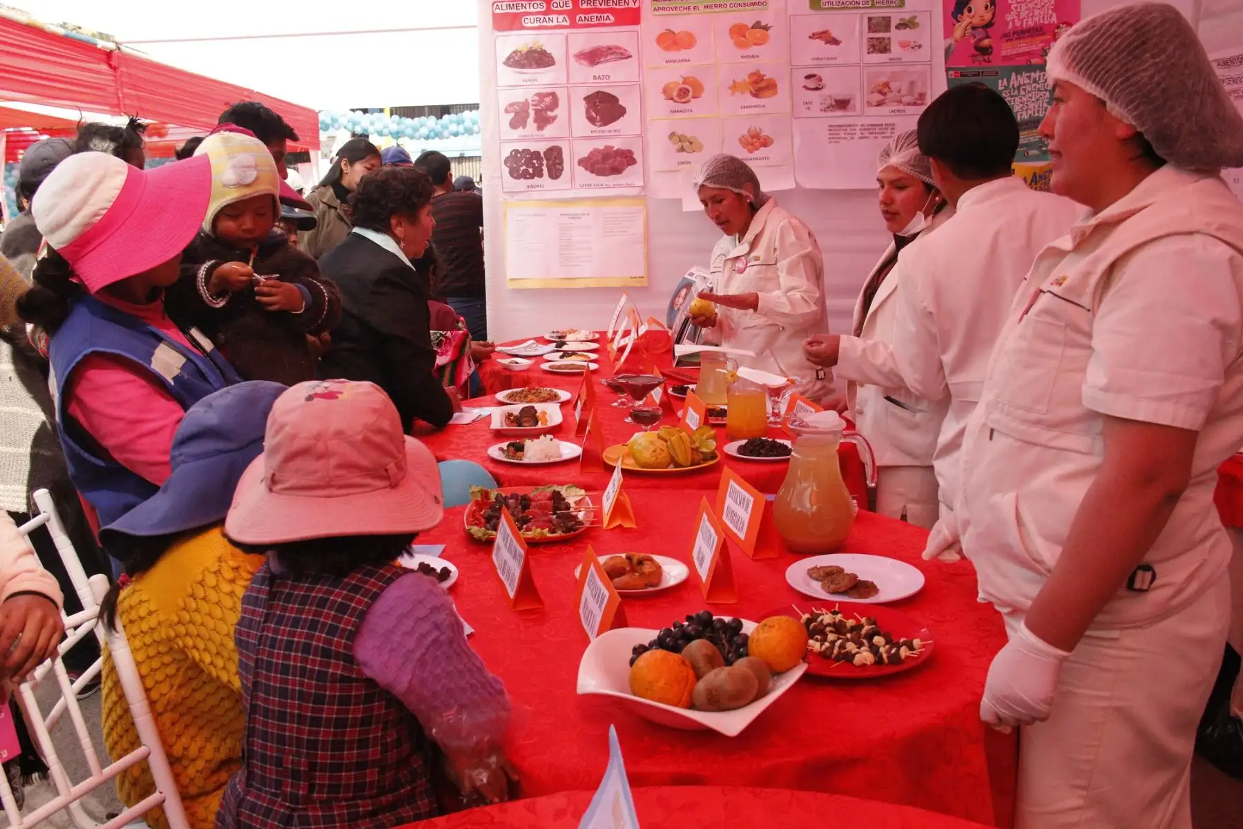 Autoridades de Puno lanzan segunda Jornada Nacional contra la Anemia. ANDINA