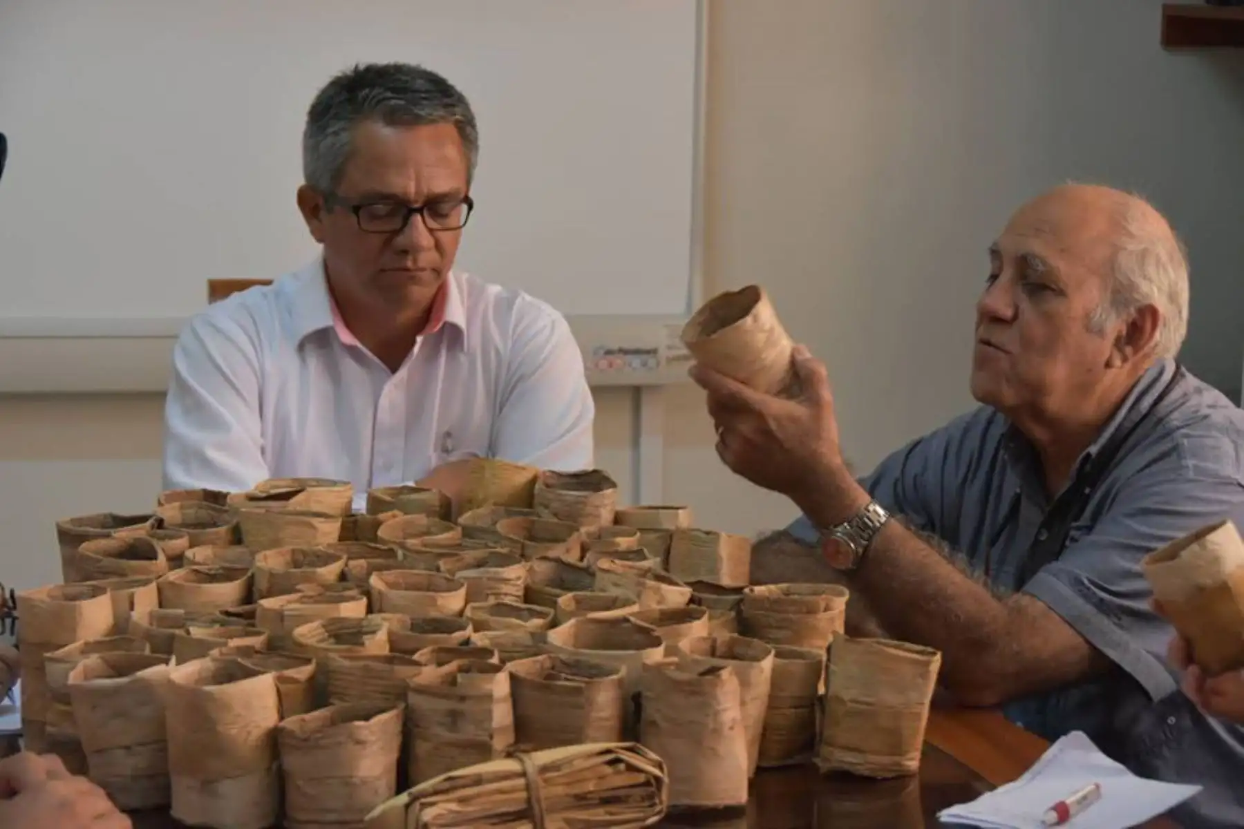 San Martín inicia venta de bolsas biodegradables elaboradas con corteza de plátano. ANDINA