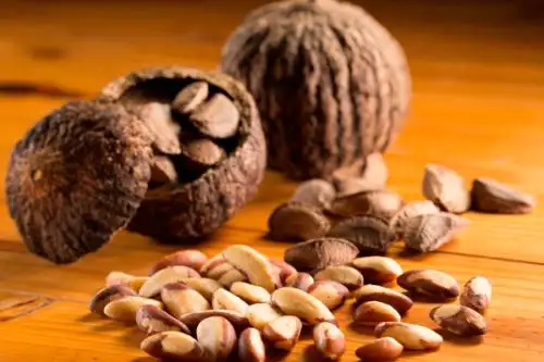 El Instituto Nacional de Calidad (Inacal), organismo adscrito al Ministerio de la Producción (Produce) elaboró un plan de acción que impulsará la calidad en la producción de la castaña, fruto amazónico que ha sido declarado producto bandera en la región Madre de Dios, zona del país donde se congrega a los principales actores de la cadena de valor.Foto:  ANDINA/Difusión