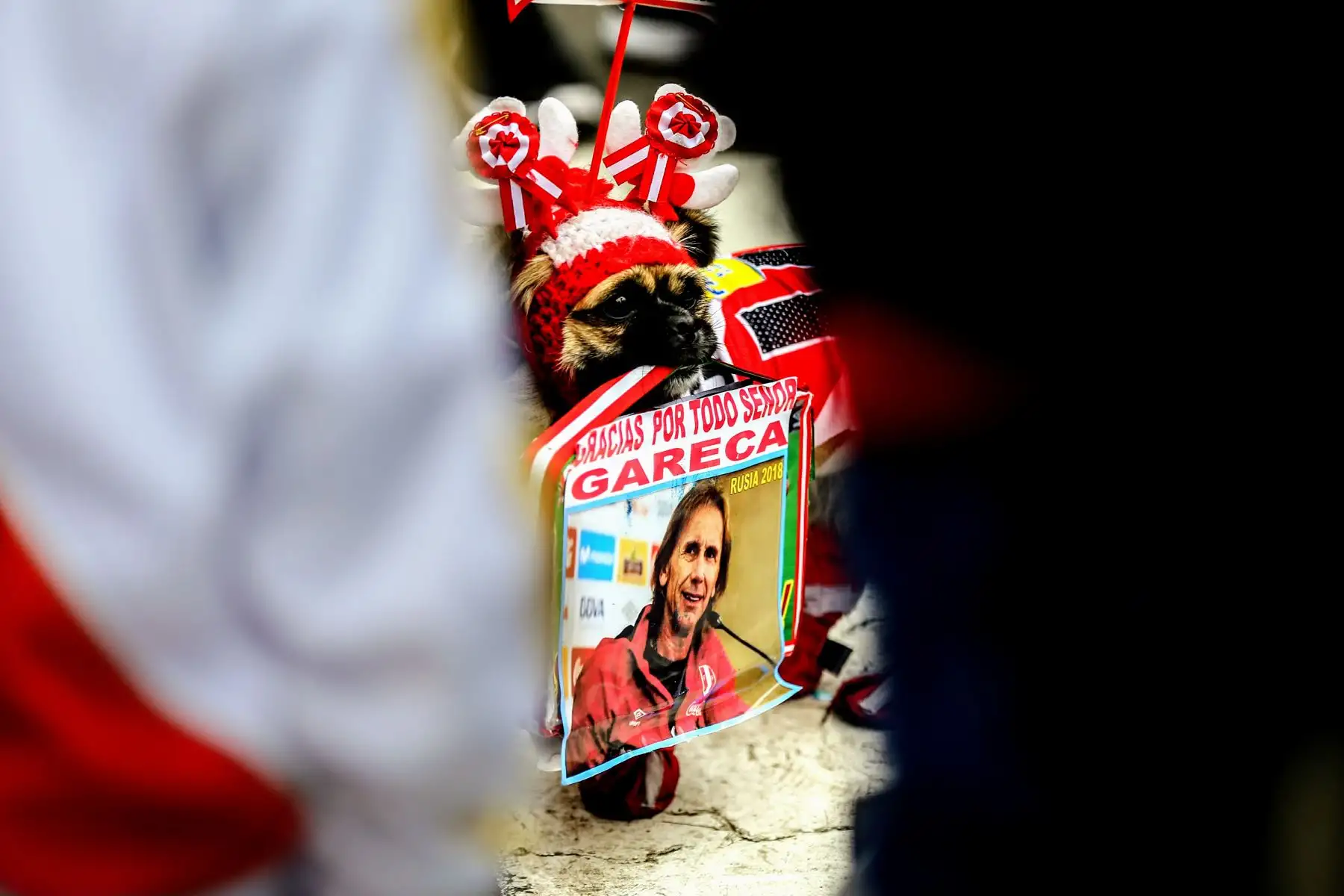 Hinchas nacionales festejan en La Plaza de Armas de Lima, la victoria de despedida de la selección peruana en el mundial de Rusia 2018. Foto: ANDINA/Luis Iparraguirre