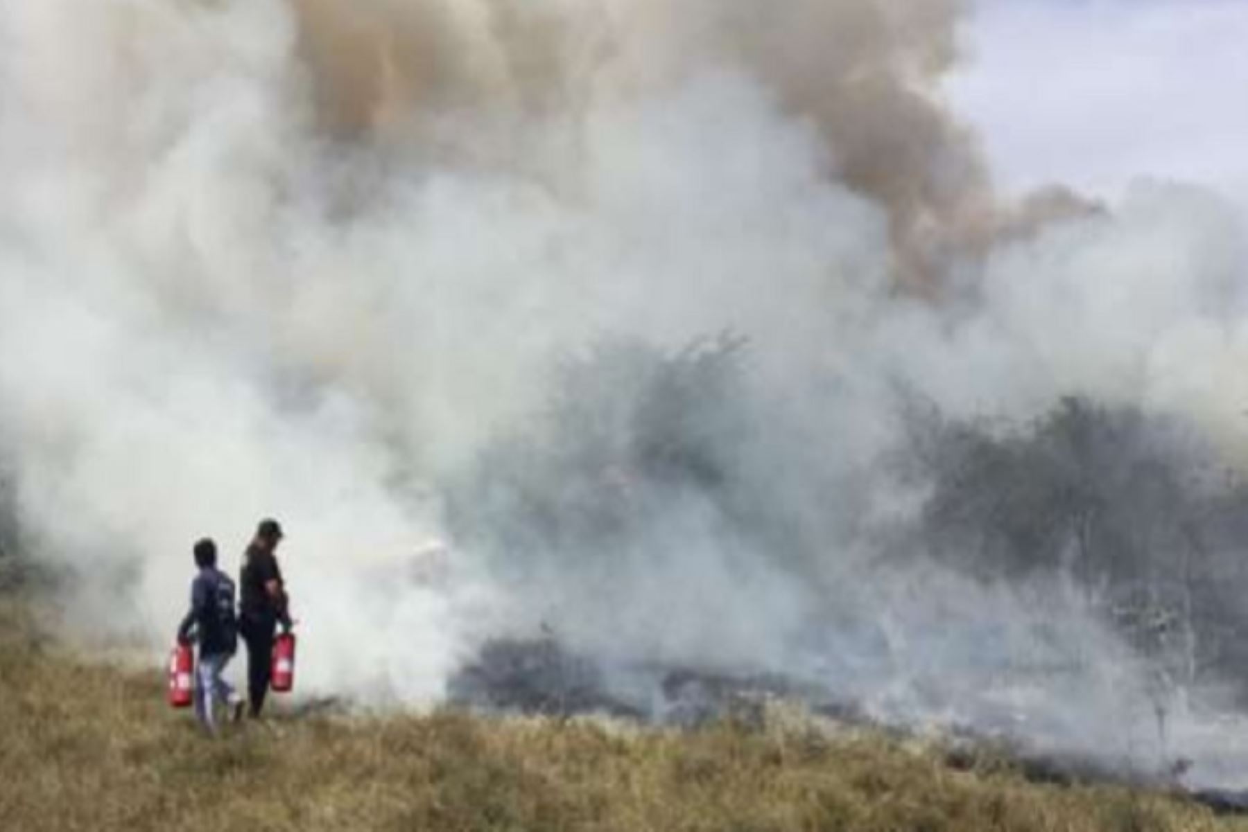 Personal de la Compañía de Bomberos N° 66 de Tumbes extinguió el incendio forestal que se inició en la víspera en el distrito de Zorritos, provincia de Contralmirante Villar. El fuego dejó 1.5 hectáreas de pastizales perdidos.
