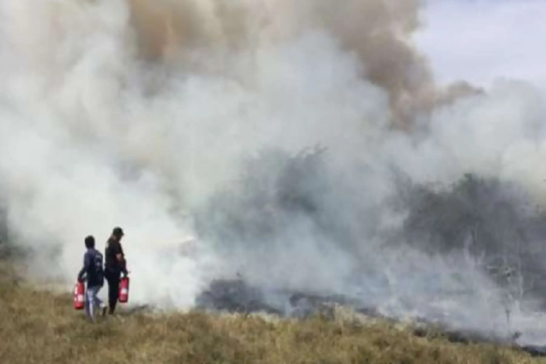Personal de Bomberos Forestales de Puerto Maldonado y del Centro de Operaciones de Emergencia Regional (COER), extinguieron el incendio ocurrido ayer en el kilómetro 24 de la Carretera Interoceánica, en el distrito de Tambopata, región Madre de Dios. ANDINA/Difusión